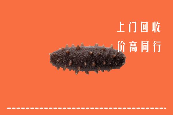 长春高价回收海参