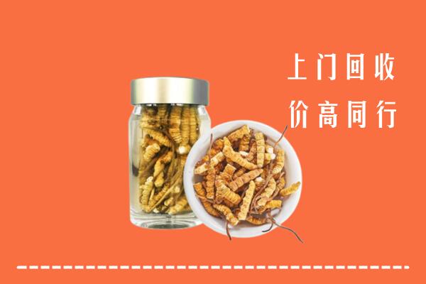 长春回收冬虫夏草