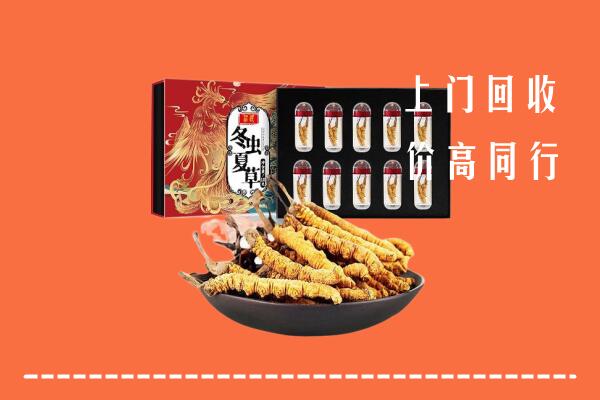 长春回收虫草